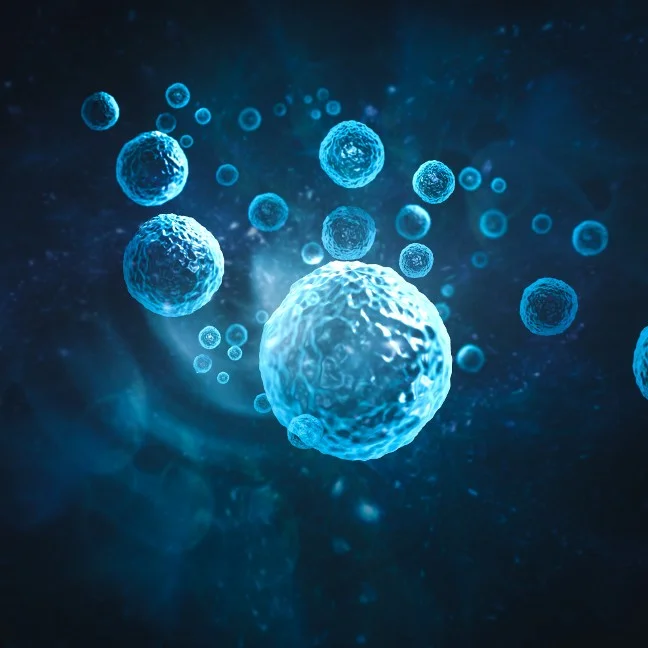 Cellules se déplaçant dans l'organisme